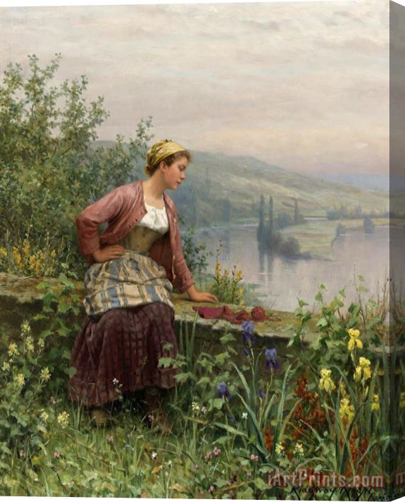 Daniel Ridgway Knight Brittany Girl Overlooking a Stream Stretched Canvas Print / Canvas Art