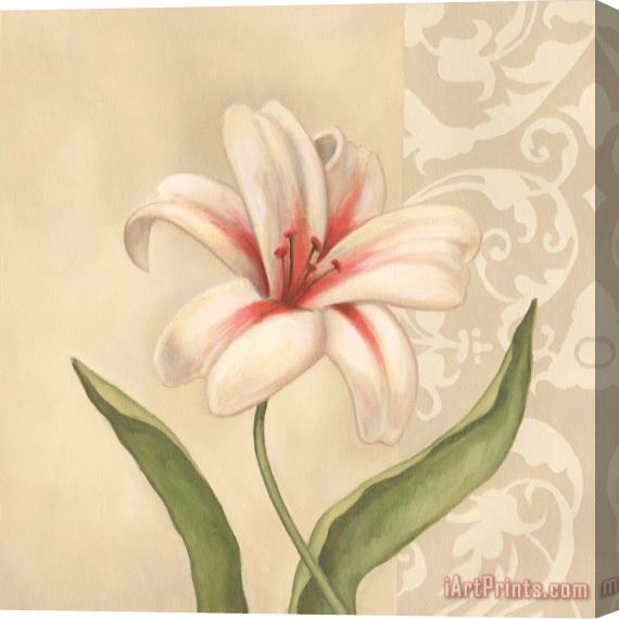 Debra Lake Tulip Stretched Canvas Print / Canvas Art
