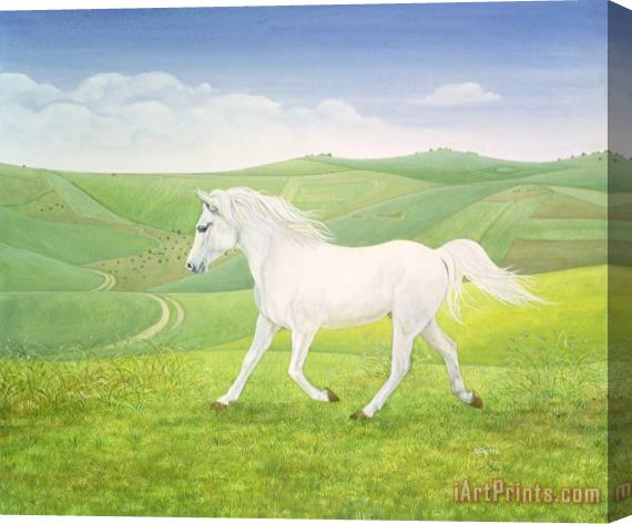 Ditz The Landscape Horse Stretched Canvas Print / Canvas Art