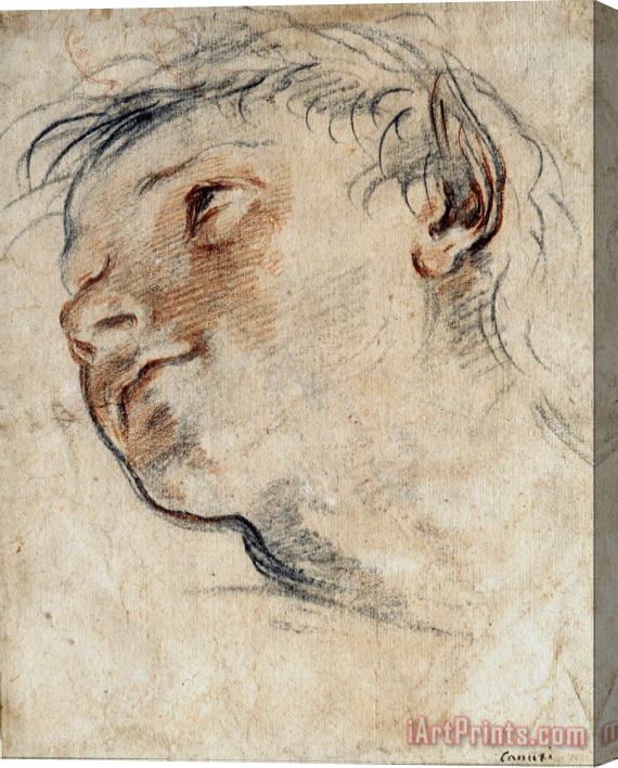 Domenico Maria Canuti Study for The Head of a Faun Stretched Canvas Print / Canvas Art