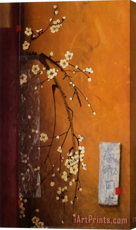 don li leger Oriental Blossoms Iii Stretched Canvas Print / Canvas Art