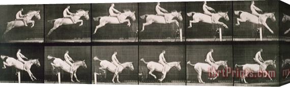 Eadweard Muybridge Man And Horse Jumping A Fence Stretched Canvas Painting / Canvas Art