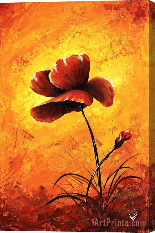 Edit Voros My flowers - Red poppy Stretched Canvas Print / Canvas Art