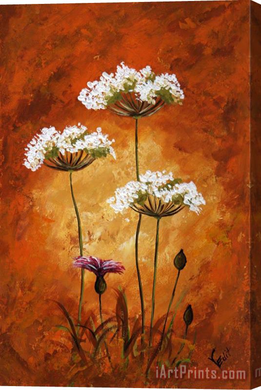 Edit Voros My flowers - Wild flowers Stretched Canvas Print / Canvas Art