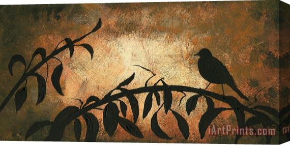 Edit Voros Night Birds Serenade Stretched Canvas Print / Canvas Art