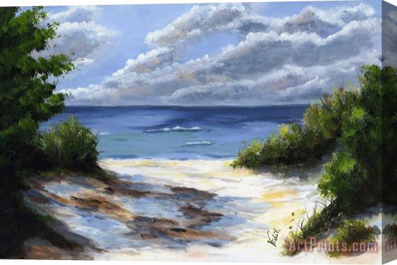 Edit Voros Seascape Of Tuscany Stretched Canvas Painting / Canvas Art