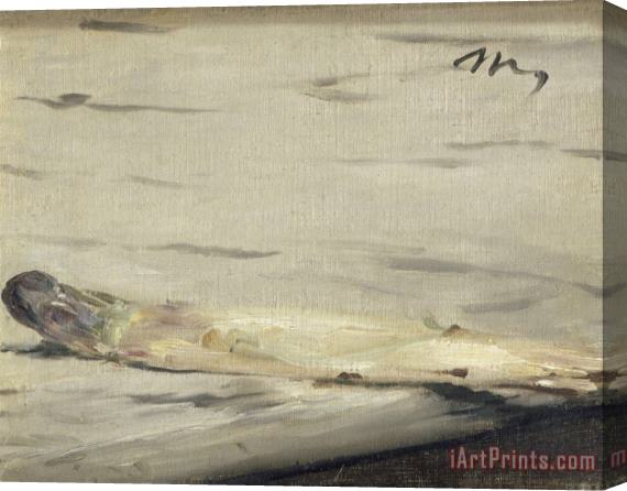 Edouard Manet Asparagus Stretched Canvas Print / Canvas Art