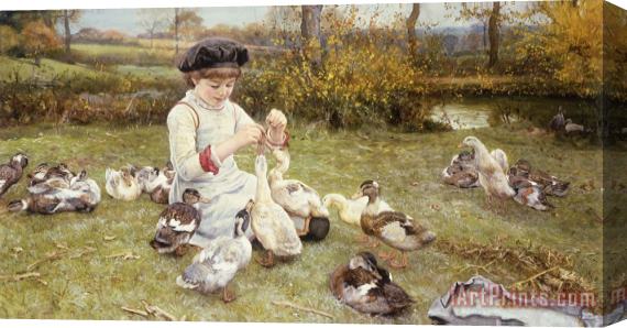 Edward Killingworth Johnson Feeding Ducks Stretched Canvas Painting / Canvas Art