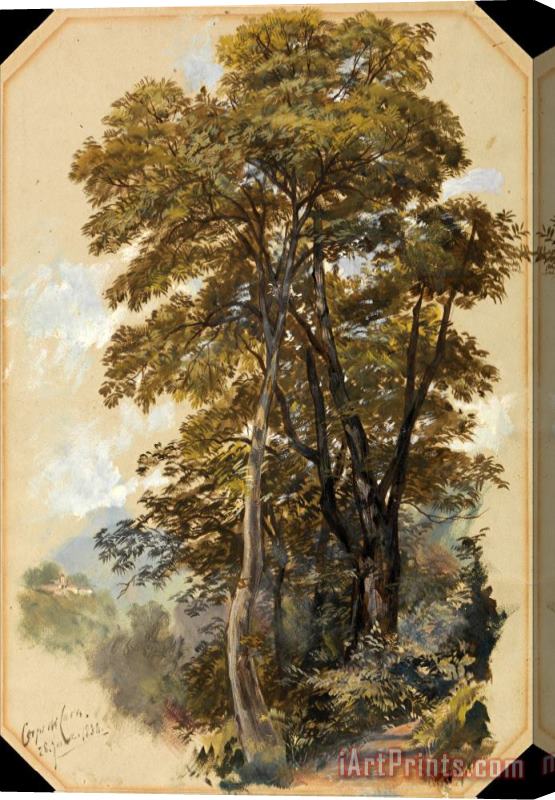 Edward Lear Corpo Di Cava, 28 June 1838 Stretched Canvas Print / Canvas Art