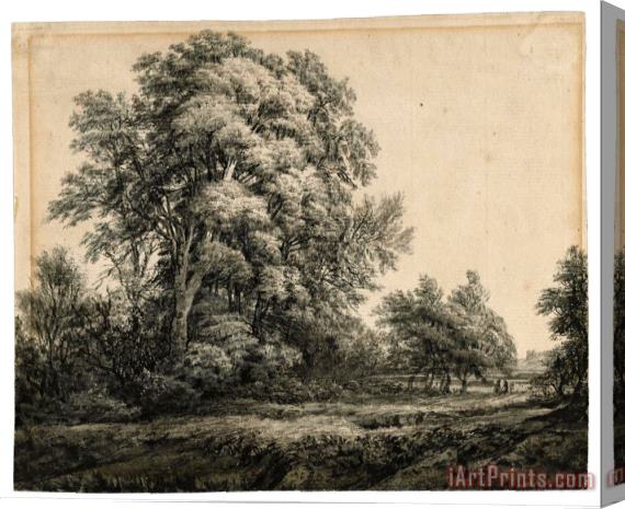 Edward Lear Forest Landscape 2 Stretched Canvas Print / Canvas Art