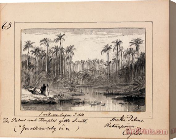 Edward Lear Illustration to Tennyson's You Ask Me Why Areka Palms, Ratanapooru, Ceylon Stretched Canvas Print / Canvas Art