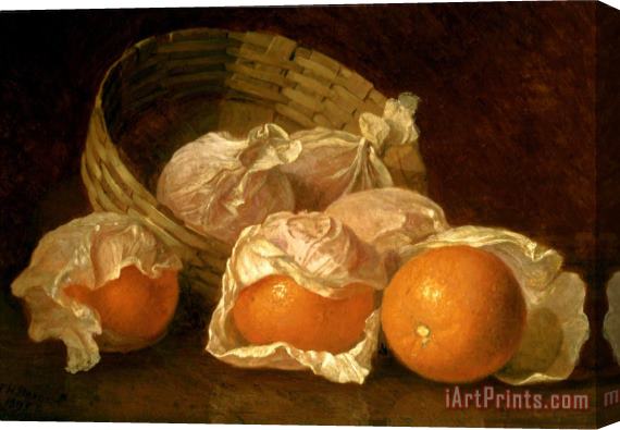 Eloise Harriet Stannard A Basket of Oranges 1895 Stretched Canvas Print / Canvas Art