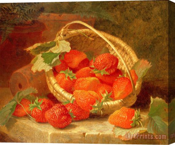 Eloise Harriet Stannard A Basket of Strawberries on a stone ledge Stretched Canvas Print / Canvas Art