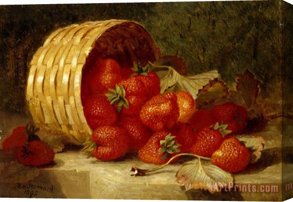 Eloise Harriet Stannard Strawberries in a Wicker Basket on a Ledge 1895 Stretched Canvas Print / Canvas Art