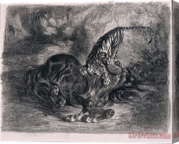 Eugene Delacroix Cheval Sauvage Terrasse Par Un Tigre (wild Horse Felled by a Tiger) Stretched Canvas Print / Canvas Art
