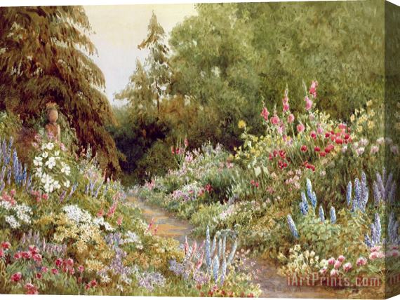 Evelyn L Engleheart Herbaceous Border Stretched Canvas Print / Canvas Art