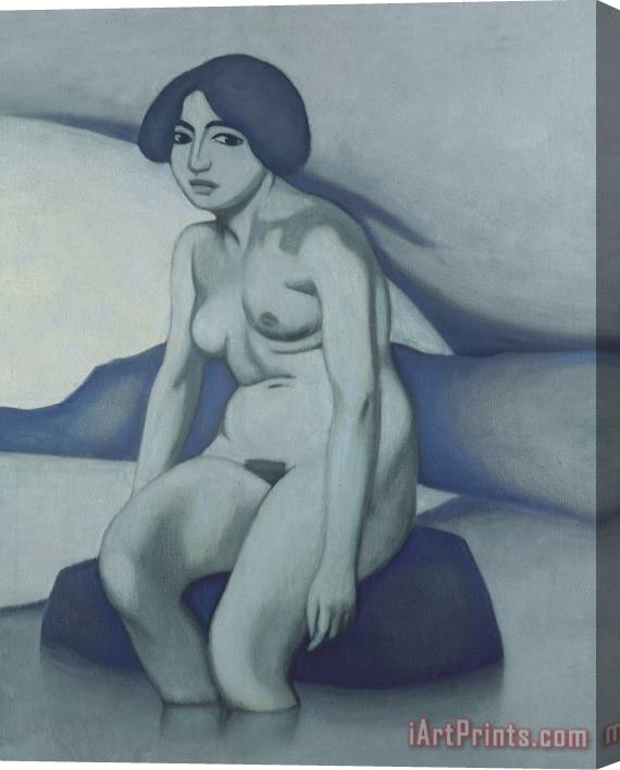 Felix Edouard Vallotton Green Nude Stretched Canvas Print / Canvas Art