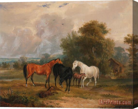 Francis Calcraft Turner Horses Grazing Mares And Foals in a Field Stretched Canvas Print / Canvas Art