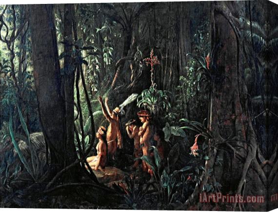 Francois Auguste Biard Amazonian Indians Worshiping The Sun God Stretched Canvas Print / Canvas Art