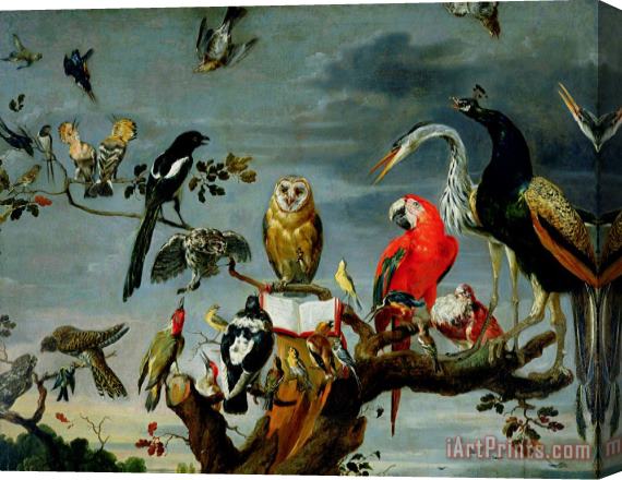 Frans Snijders Concert of Birds Stretched Canvas Painting / Canvas Art
