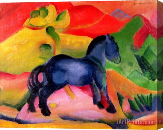 Franz Marc Little Blue Horse Stretched Canvas Print / Canvas Art