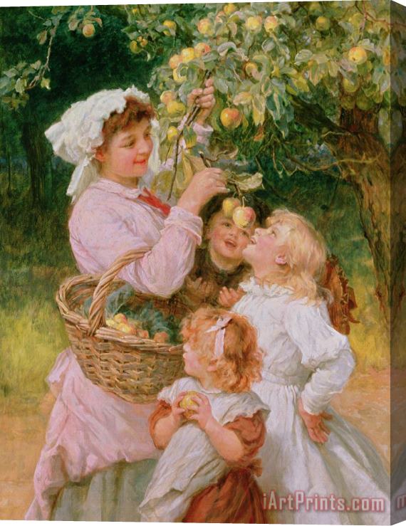 Frederick Morgan Bob Apple Stretched Canvas Painting / Canvas Art