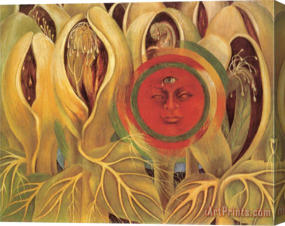 Frida Kahlo Sun And Life 1947 Stretched Canvas Painting / Canvas Art