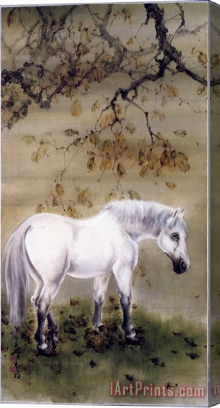 Gao Qifeng White Horse Stretched Canvas Print / Canvas Art
