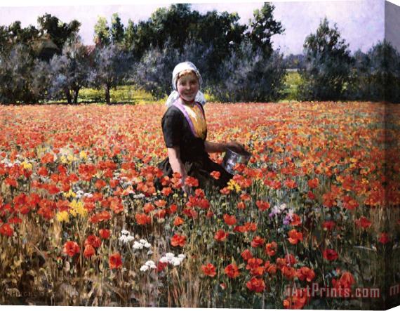 George Hitchcock The Poppy Field Stretched Canvas Print / Canvas Art