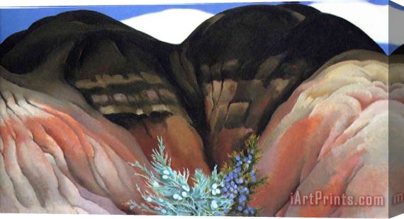 Georgia O'keeffe Black Hills with Cedar Stretched Canvas Print / Canvas Art