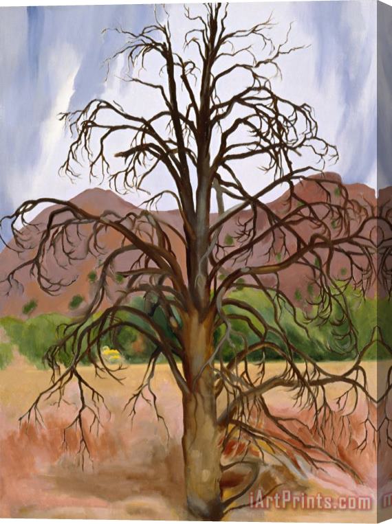 Georgia O'keeffe Dead Pinon Tree, 1943 Stretched Canvas Print / Canvas Art