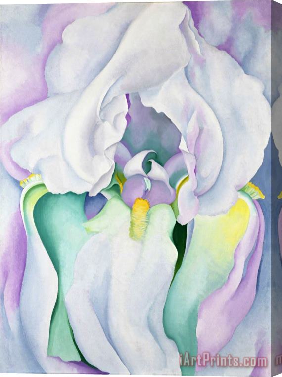 Georgia O'keeffe Light of Iris Stretched Canvas Print / Canvas Art