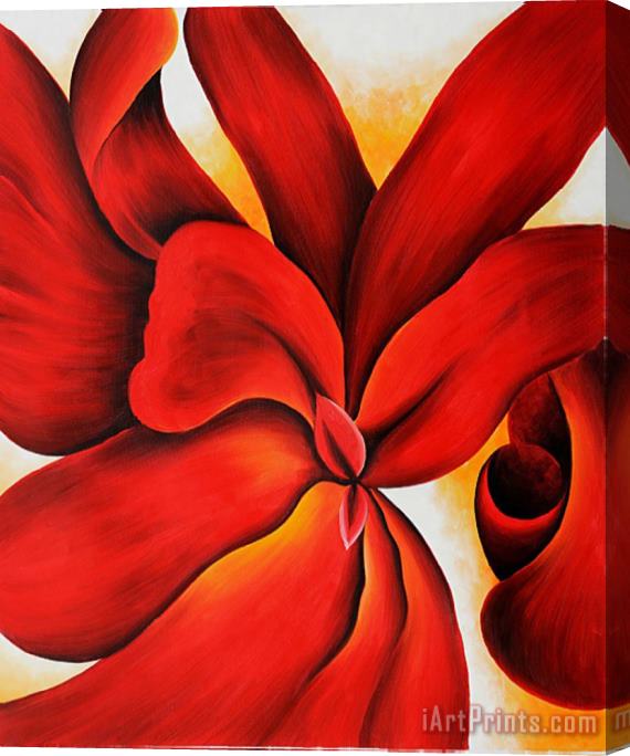 Georgia O'keeffe Red Cannas 1 Stretched Canvas Print / Canvas Art