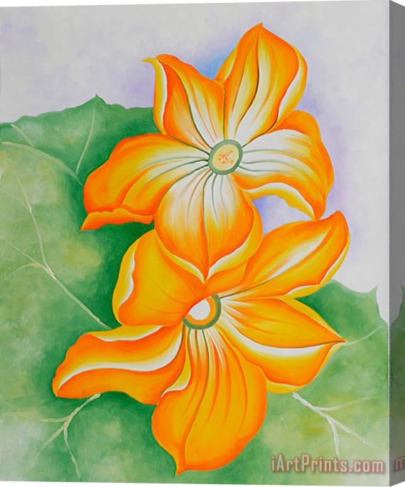 Georgia O'keeffe Squash Blossoms Stretched Canvas Painting / Canvas Art