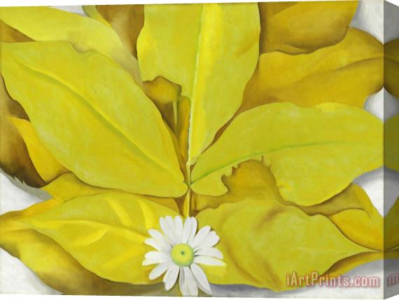Georgia O'keeffe Yellow Hickory Leaves with Daisy, 1928 Stretched Canvas Painting / Canvas Art