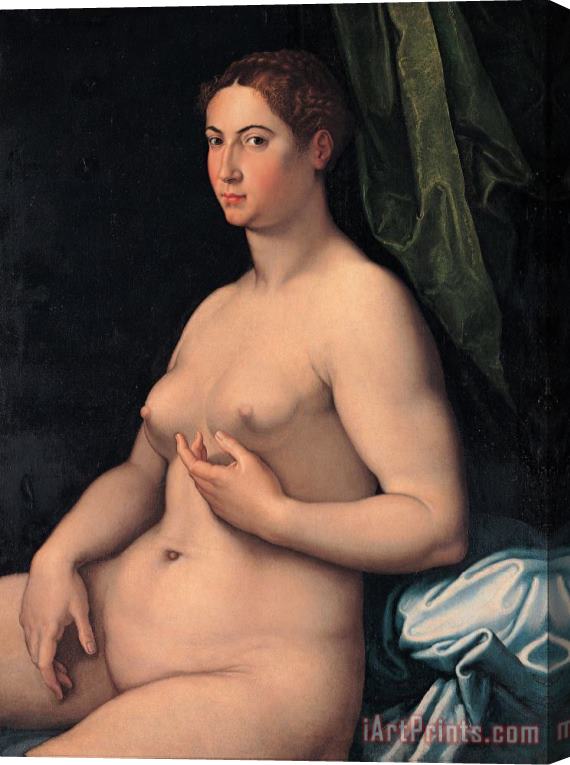 Girolamo Siciolante da Sermoneta A Seated Female Stretched Canvas Print / Canvas Art