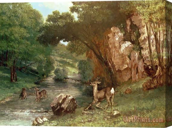 Gustave Courbet Deer by a River Stretched Canvas Painting / Canvas Art