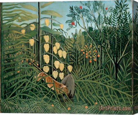 Henri Rousseau In a Tropical Forest. Struggle Between Tiger And Bull Stretched Canvas Print / Canvas Art