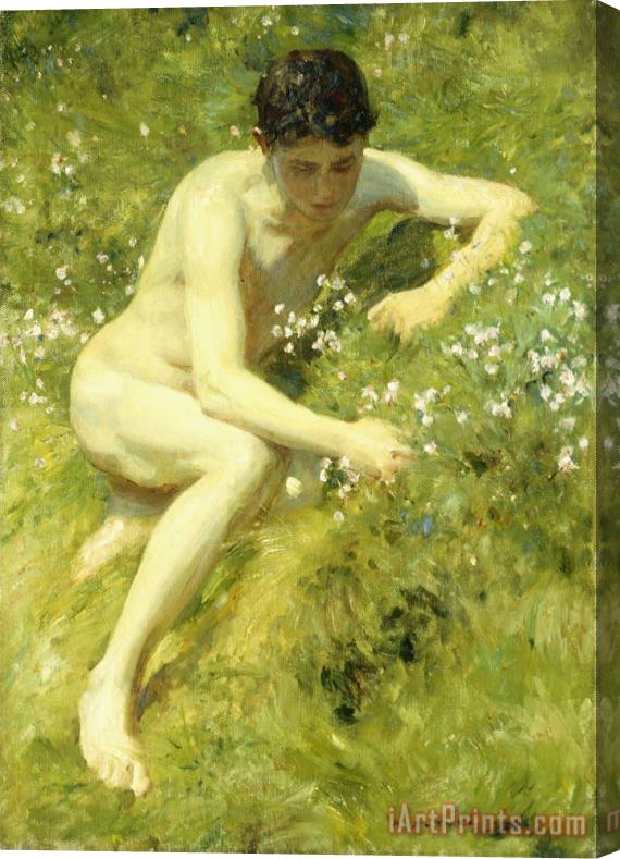 Henry Scott Tuke In the Meadow Stretched Canvas Painting / Canvas Art