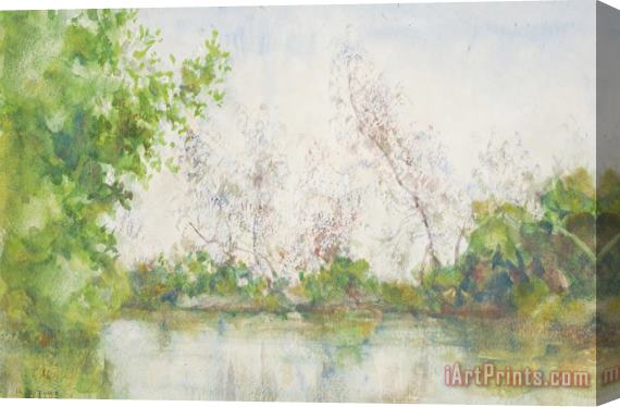 Henry Scott Tuke Mangrove Swamp Stretched Canvas Print / Canvas Art