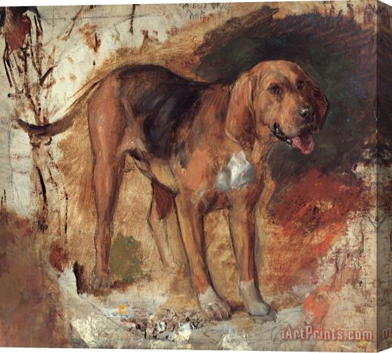 Holman Hunt Study of a Bloodhound Stretched Canvas Painting / Canvas Art