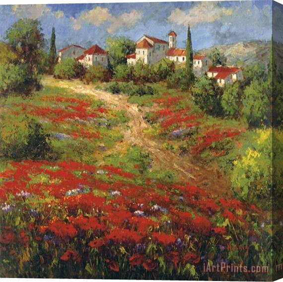 Hulsey Country Village II Stretched Canvas Painting / Canvas Art