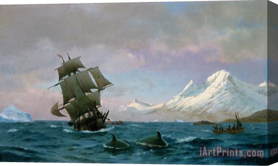 J E Carl Rasmussen Catching whales Stretched Canvas Print / Canvas Art