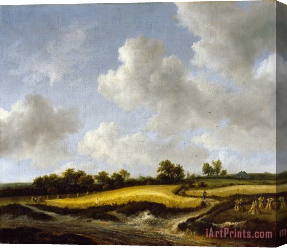 Jacob Isaacksz. Van Ruisdael Landscape with a Wheatfield Stretched Canvas Painting / Canvas Art