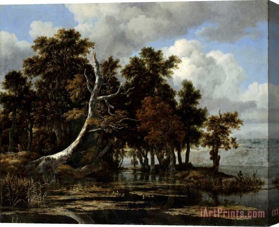 Jacob Isaacksz. van Ruisdael Oaks at a Lake with Water Lilies Stretched Canvas Print / Canvas Art