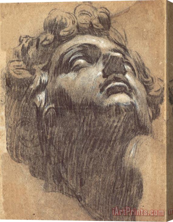 Jacopo Robusti Tintoretto Head of Giuliano De' Medici Stretched Canvas Print / Canvas Art