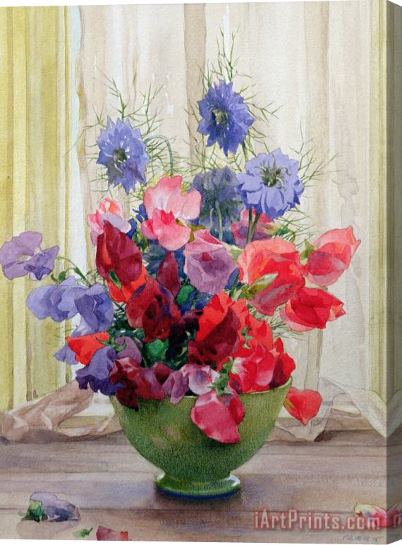 James Clark Sweet Peas And Nigella Stretched Canvas Print / Canvas Art