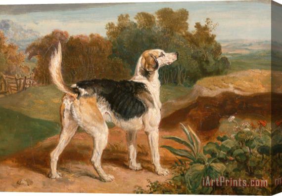 James Ward Ravager, One of The Lambton Hounds Stretched Canvas Painting / Canvas Art
