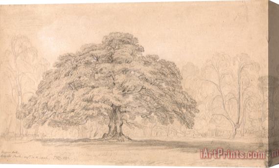 James Ward The Beggar's Oak, Bagot's Park, Aug. 12th, 1820 Stretched Canvas Print / Canvas Art