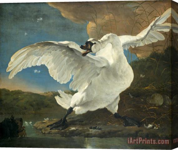 Jan Asselyn The Threatened Swan Stretched Canvas Print / Canvas Art